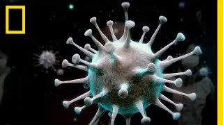 What is a Virus? | Breakthrough