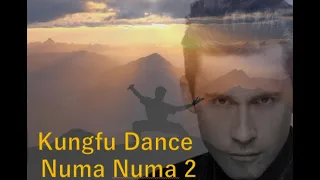 [Artistic Martial Arts] Strong man's kung fu dance with Dirty Nano vs. Dan Balan - Numa Numa 2 REMIX