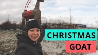 CHRISTMAS GOAT | Iceland holiday traditions