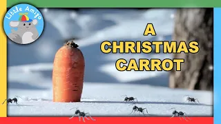 MInuscule - Snow Carrot