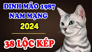 Tử Vi Tuổi Đinh Mão 1987 Nam Mạng Năm 2024 LỘC Rơi Trúng Đầu, Giàu CÓ Xa Hoa Hết Phần Thiên Hạ | TVV