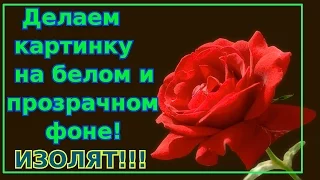 Как сделать картинку на белом и прозрачном фоне! ИЗОЛЯТЫ! Gimp уроки.