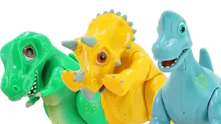 Dino Mecard Talking Egg Tyrannosaurus Triceratops Brachiosaurus Dinosaurus Toys for Kids! | ToyMoon