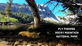 Colorado Cutthroat Slam! - Fly Fishing Rocky Mountain National Park