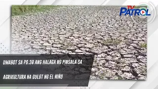 Umabot sa P6.3B ang halaga ng pinsala sa agrikultura na dulot ng El Niño | TV Patrol