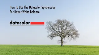 How to Use The Datacolor Spydercube For Better White Balance