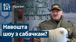 Псіхалагічная аперацыя з удзелам Лукашэнкі  / ПраСвет