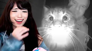 Emiru Reacts to UNUSUAL MEMES COMPILATION V228