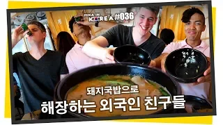 Dwaeji Gukbap 🐷 Korean Hangover Pork and Rice Soup after a wild party night (Mika in Korea 036)