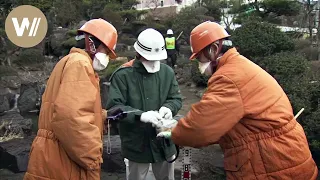 Surviving the Tsunami - Documentary on the aftermath of the Fukushima nuclear disaster (2013)