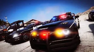 Infinity V RolePlay Los Santos County Sheriff Office fleet