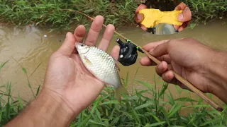 Fishing in the wild makes bamboo fishing rods and bait concoctions work