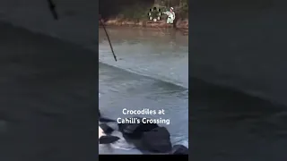 Crocodiles at Cahill’s Crossing