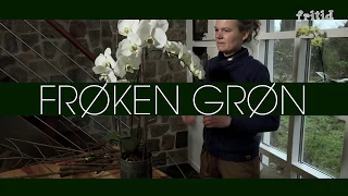 Frøken Grøn 2019 uge 09