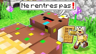 Je peux ENTRER dans TOUT les YOUTUBERS  Minecraft..