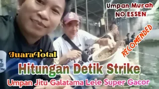 Hitungan Detik Langsung Strike-Umpan Jitu Galatama Lele Super Gacor #mancingmania #umpanjitu