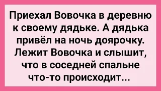 Как Вовочка в Деревню к Дядьке Приехал! Сборник Свежих Смешных Жизненных Анекдотов!