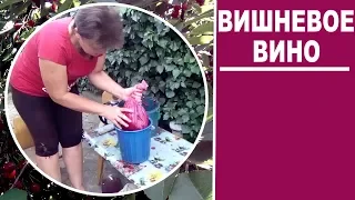 Как сделать вишневое вино рецепт приготовления