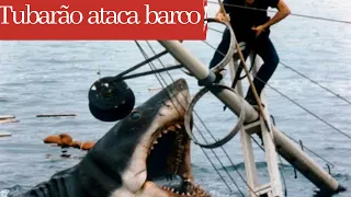 Tubarão ataca barco na Africa do sul!