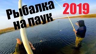 Окунь на сало или на барсучий жир? Рыбалка на подЪемник Рыбалка 2019 Рыбалка на щуку Паук Рыбалка