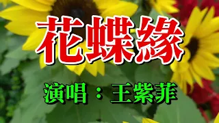 花蝶緣  演唱：王紫菲  2024 .5. 6.