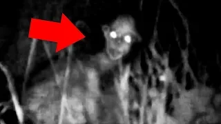 5 Mysterious Creatures Caught On Camera : Top 5 STRANGE Creatures