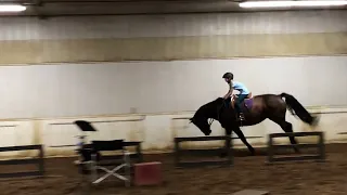 My ALMOST first horse fall