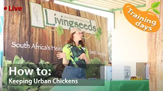 How To: Keeping Urban Chickens