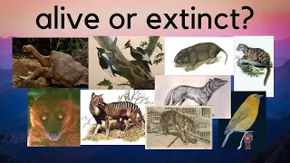 Ten Extinct Animals that Might Still be Alive