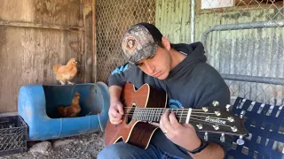 Chicken plays guitar (NOT FAKE!!!)