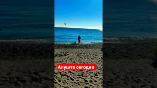 Алушта сегодня