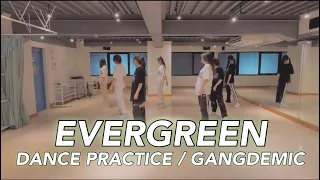 【DANCE PRACTICE】『EVERGREEN』 / GANGDEMIC