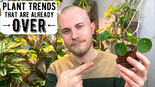 Houseplant Trends That Are Already Over (2021)
