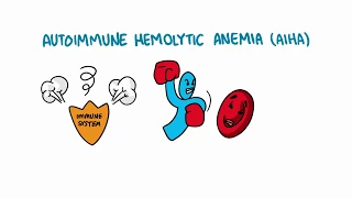 (Spanish) Anemia hemolítica autoinmune. Autoimmune hemolytic anemia