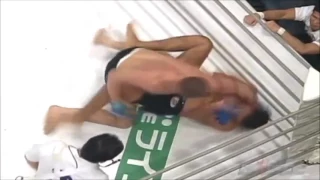 Fedor Emelianenko vs Antonio Rodrigo Nogueira
