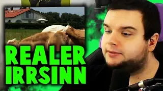 TrilluXe REAGIERT auf REALER IRRSINN - Anzeige wegen Kühen auf dem Land?! 😬 | TrilluXe Reaktion