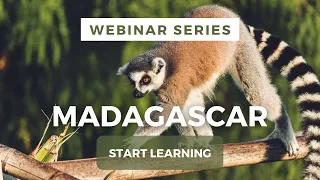 Madagascar Webinar - Northern Region (Part One - Jenman Safaris)