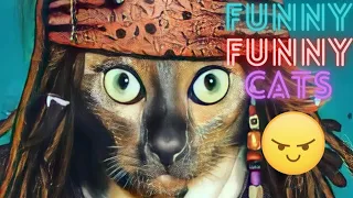 2 HOUR BEST FUNNY CATS COMPILATION 2023 😂| The Best Funny And Cute Cat Videos 18 !😸 😸
