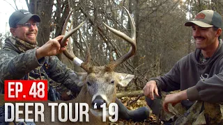 PUBLIC LAND BOW BUCK! - BIG 8 Pointer at 15 YARDS!