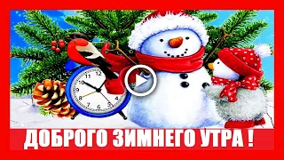 Доброго зимнего утра и хорошего дня! Красивая видео открытка!