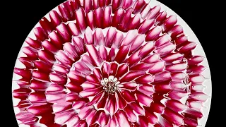 #1344 I Created A Beautiful Dahlia Flower By Swiping With A Spoon