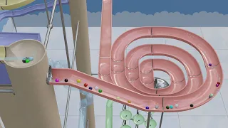 Waterslide - 3D Marble Race