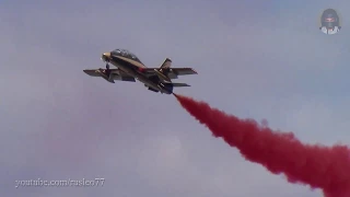 Пилотажная группа "Al Fursan" ВВС ОАЭ / Al Fursan - Aerobatic team of the UAE Air Force