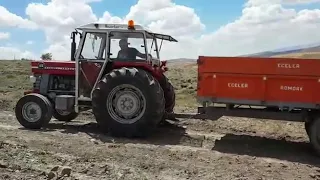 Massey ferguson 185 cekismesi