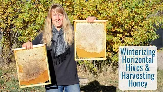 Winterizing the Horizontal Hives for a Wyoming Mountain Winter & Our 1st Honey Harvest!