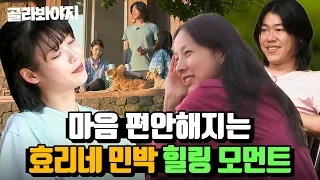 (80분) 보기만 해도 나른해지는 소길리댁☺ ＜효리네 민박＞ 속 이효리X이상순X아이유 힐링 모먼트🍃｜효리네 민박｜JTBC 170926 방송 외