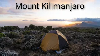 Mount Kilimanjaro Aufstieg über die Lemosho Route Januar 2023 - Tansania