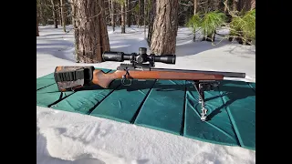 cz-457 Тест прицела Vortex viper pst