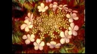 Бела Руденко "Якби я вміла вишивать" Ukrainian song  1971