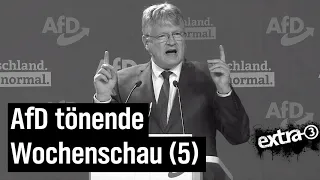 AfD-Bundesparteitag: Der Dilettantenstadl | extra 3 | NDR